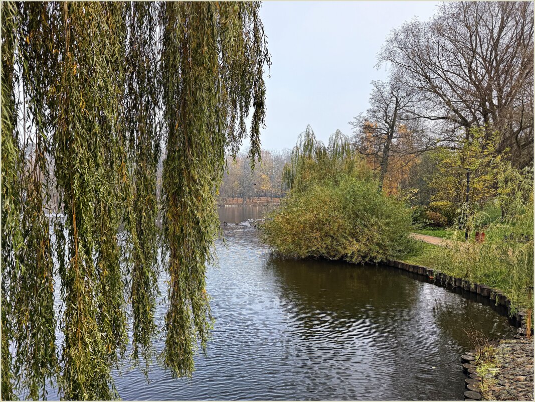 Картинка осени. Ноябрь. - Валерия Комова
