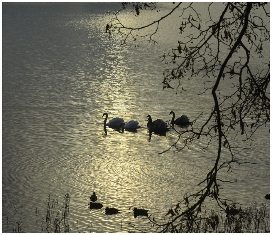 настало времечко... - Aleksandr Gal