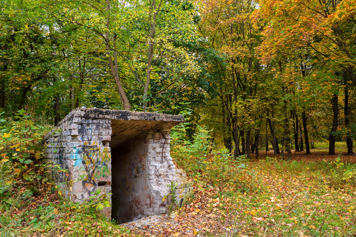 Руины в осеннем пейзаже - Александр Синдерёв