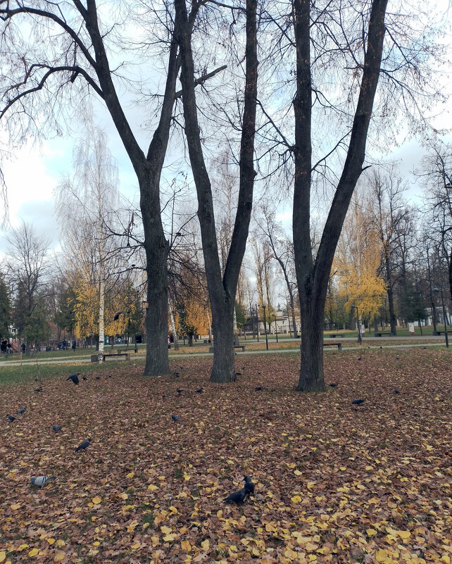 *** - Валентина Береснева