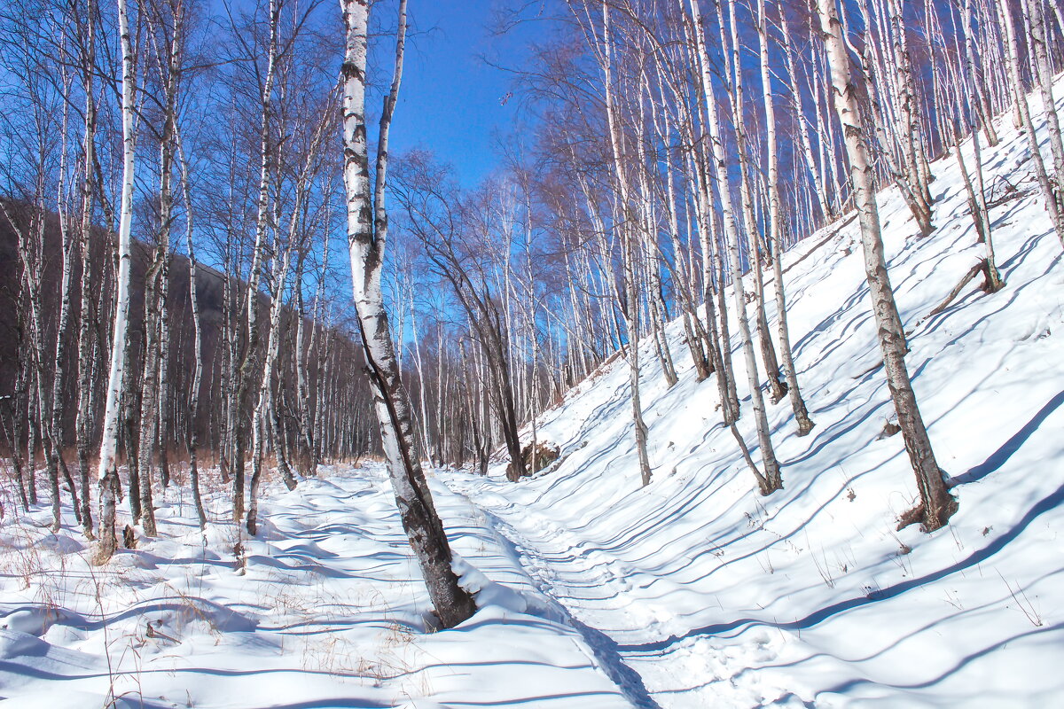 Тёмная падь - Евгений 