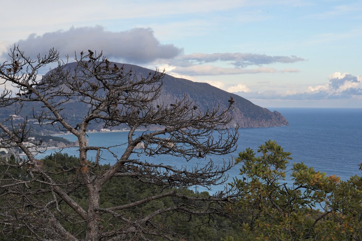 Морской пейзаж - Татьяна Тюменка Морской пейзаж - Татьяна Тюменка