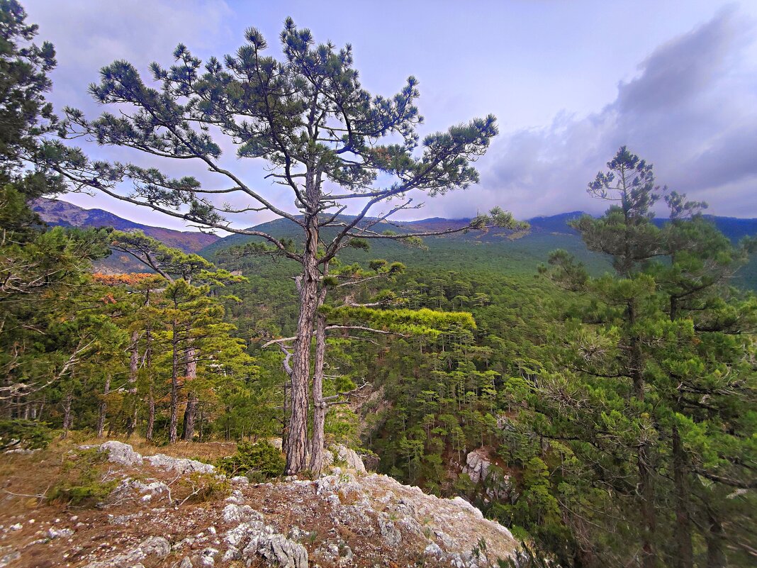 Урочище Уч-Кош. - Виктор Мухин