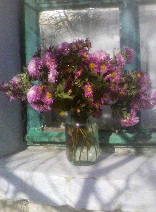 Ноябрьское солнышко - Наталья 