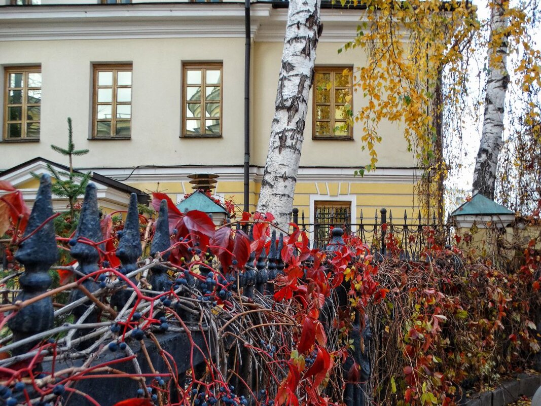 Из осеннепрогулочного - svk *