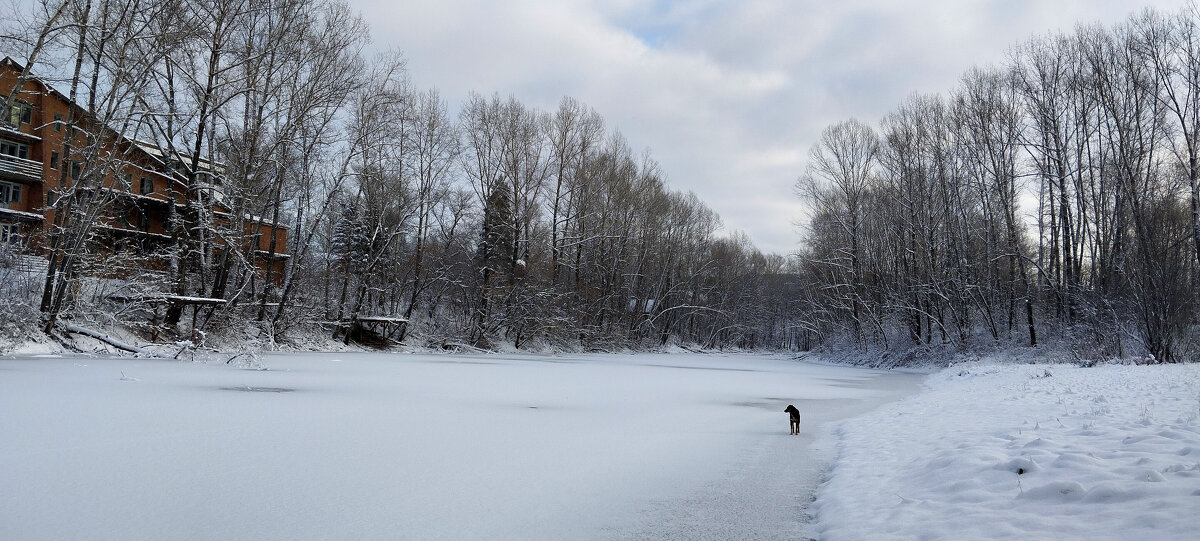 Озеро - Радмир Арсеньев