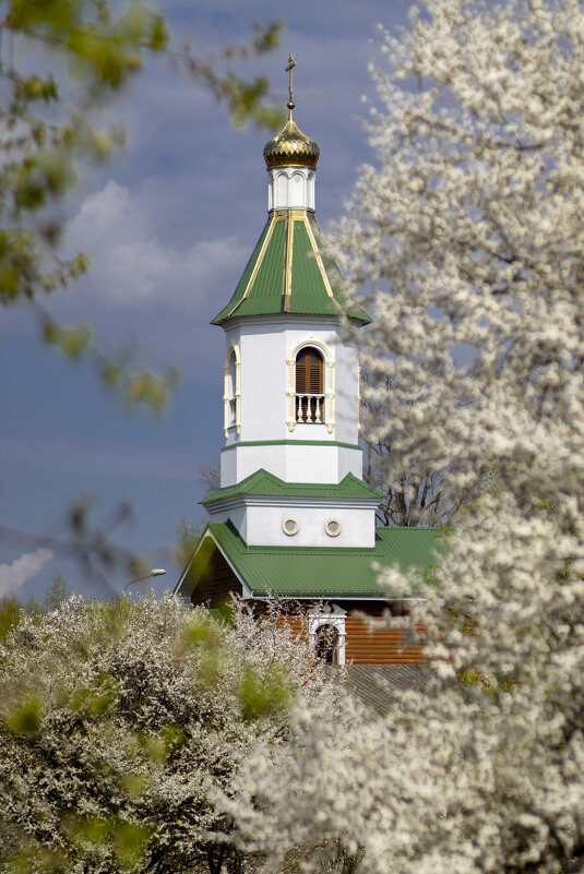 Б.Н. - Николай 