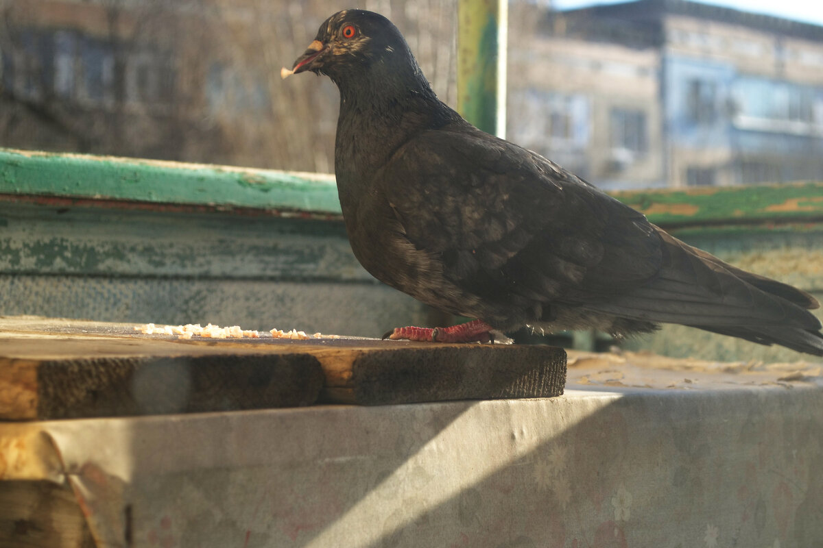 Вот гад! - Александр Лычагин