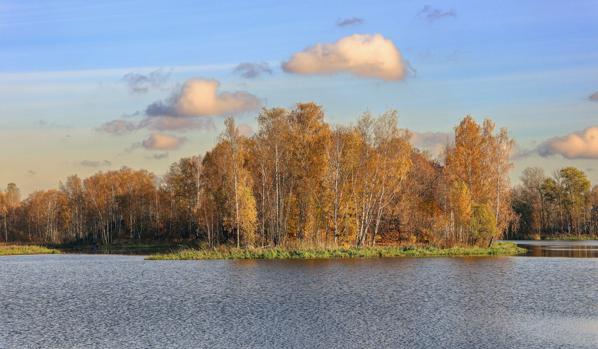 Ржевка Пороховые - skijumper Иванов