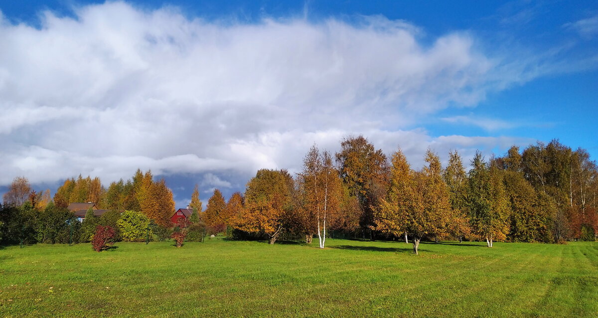 Оттенки теплой осени .. - Татьян@ Ивановна