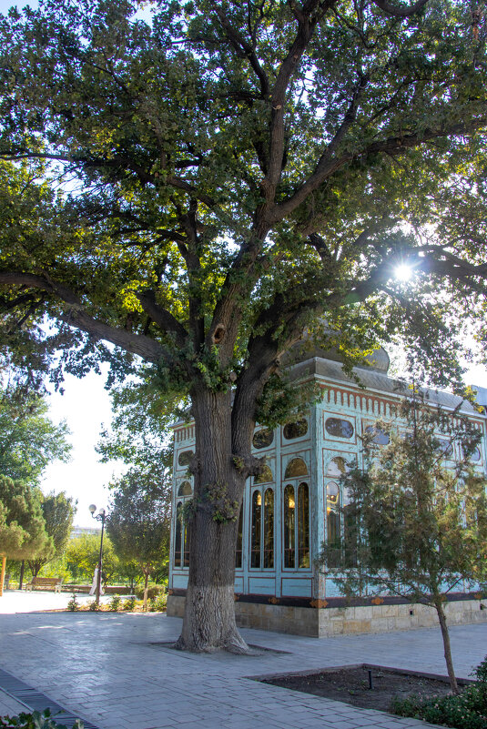 Дача Эмира Бухары - Максим Дача Эмира Бухары - Максим