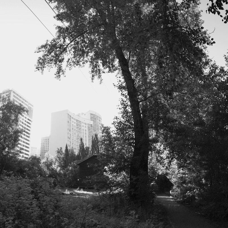 *** - Сергей Сергеев