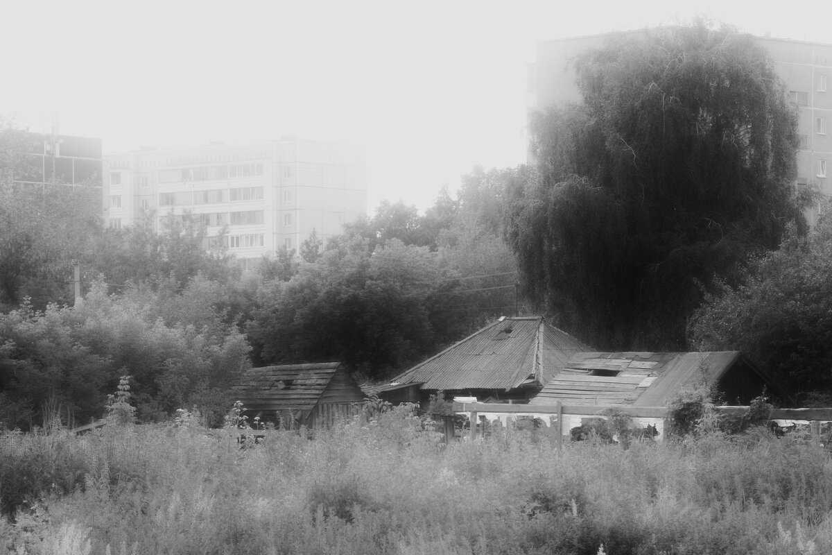 Скрытые от взора - Сергей Сергеев