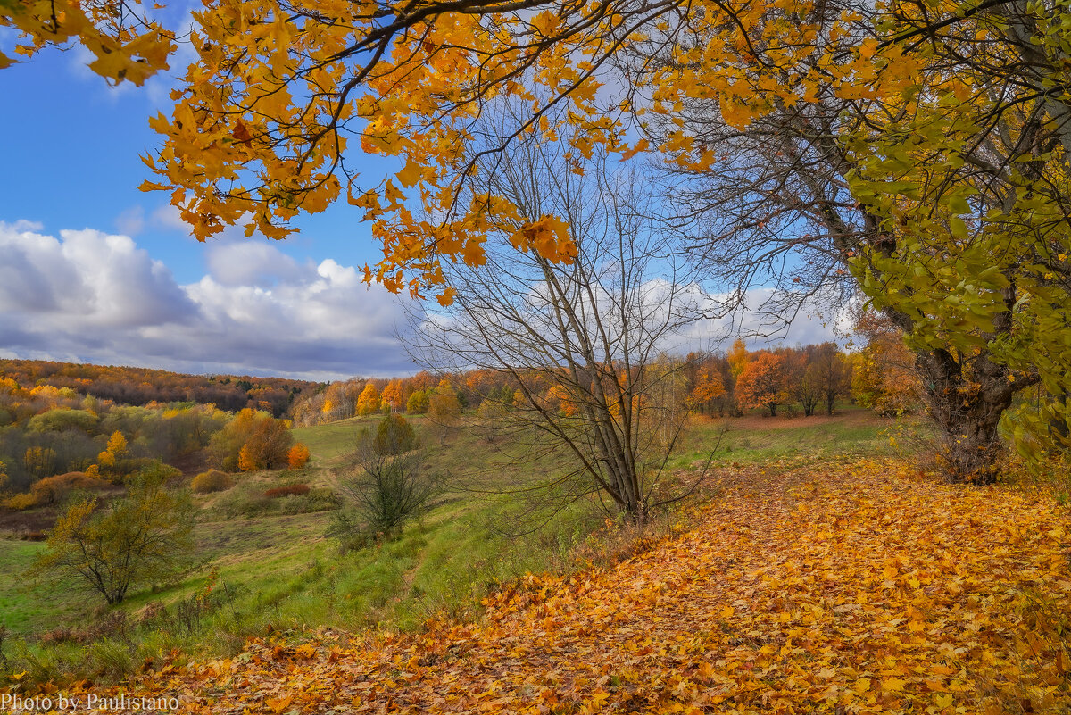 Октябрь в Царицыно... - Владимир Жданов