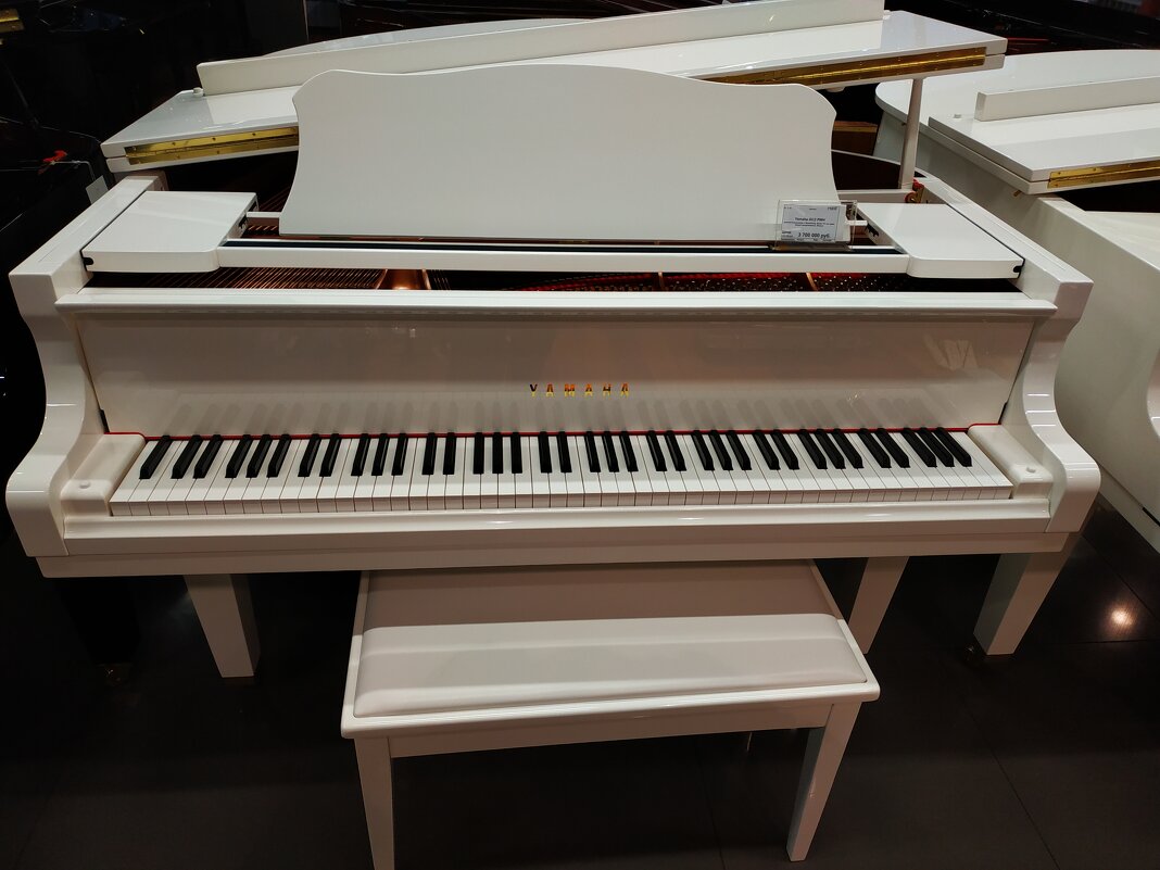 Рояль был весь раскрыт ... - Андрей Лукьянов