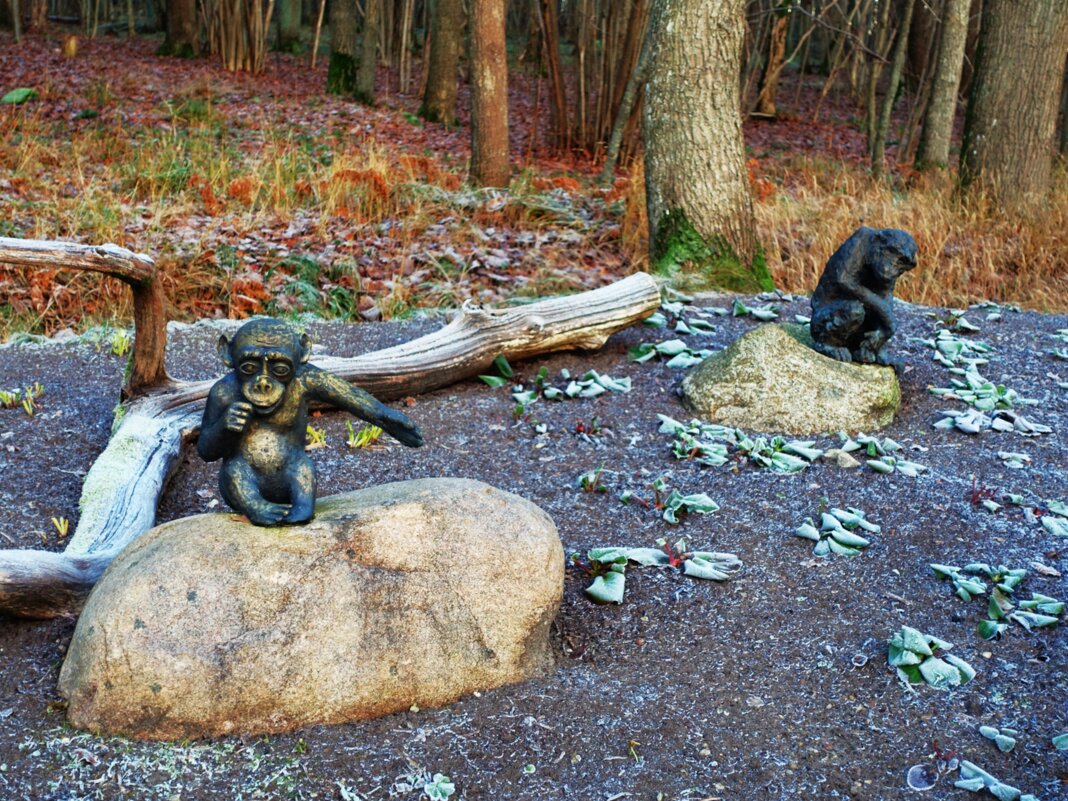 Обезьянки на камнях - Aida10 Обезьянки на камнях - Aida10