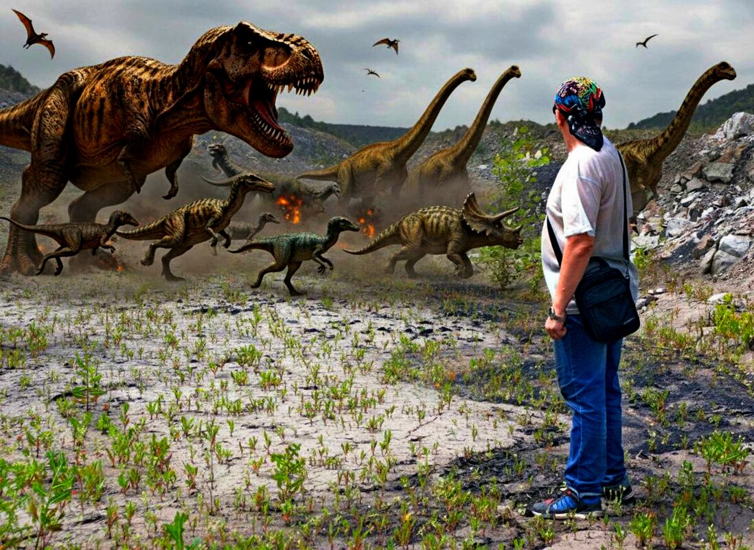 Созерцатель - Дмитрий (Горыныч) Симагин