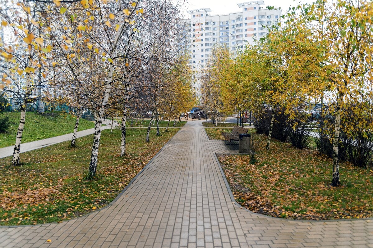 Ноябрь в городе - Валерий Иванович Ноябрь в городе - Валерий Иванович
