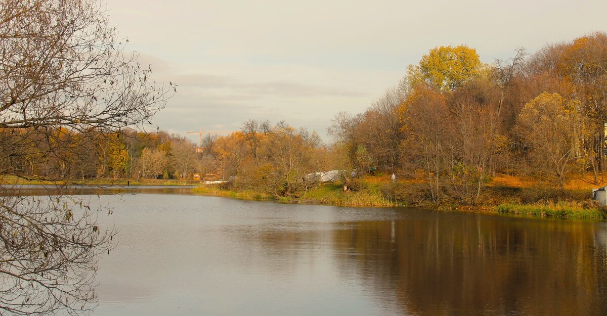 ОСЕННИЙ ДЕНЬ В ПАРКЕ КУЗЬМИНКИ-ЛЮБЛИНО - Валентина 