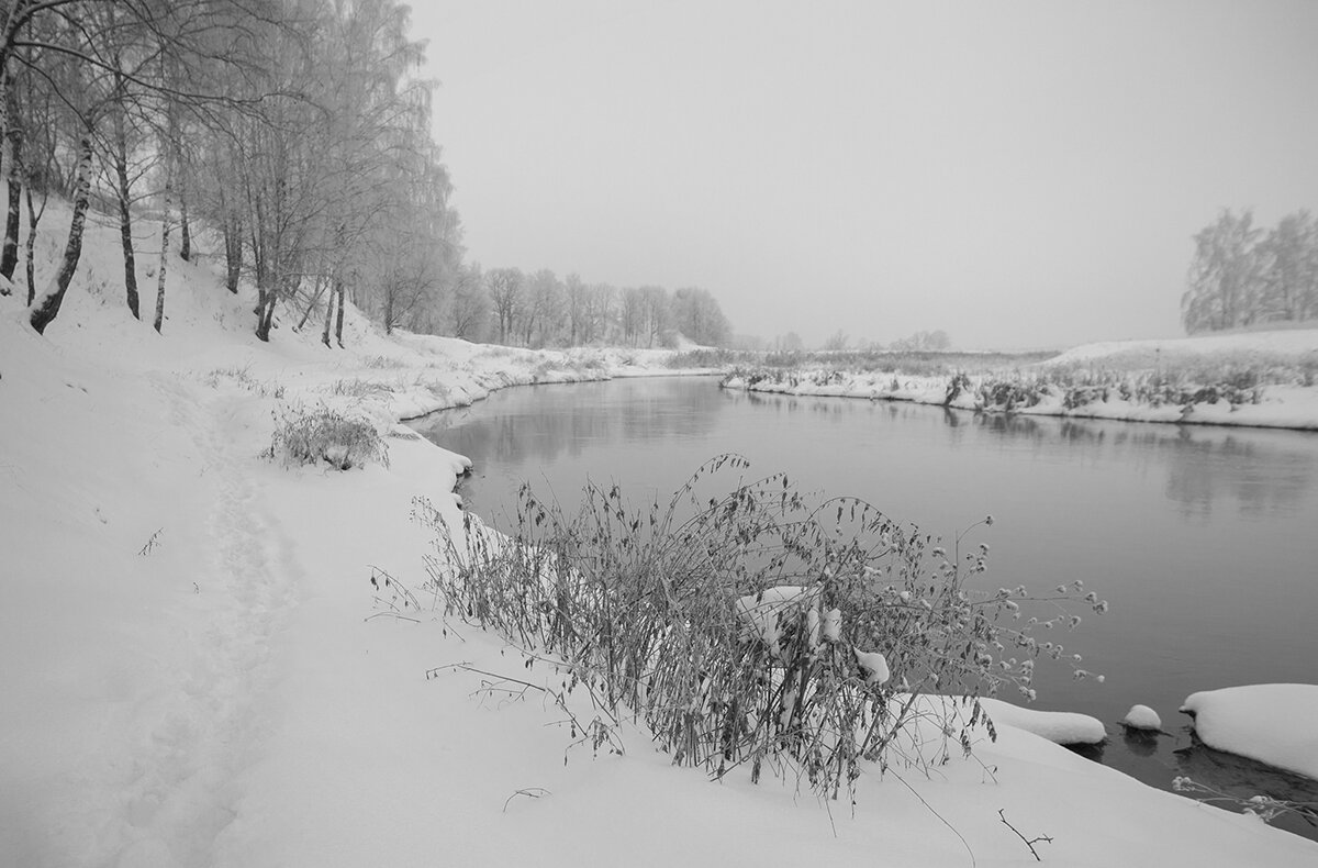 Нежная зима - Владимир Носов