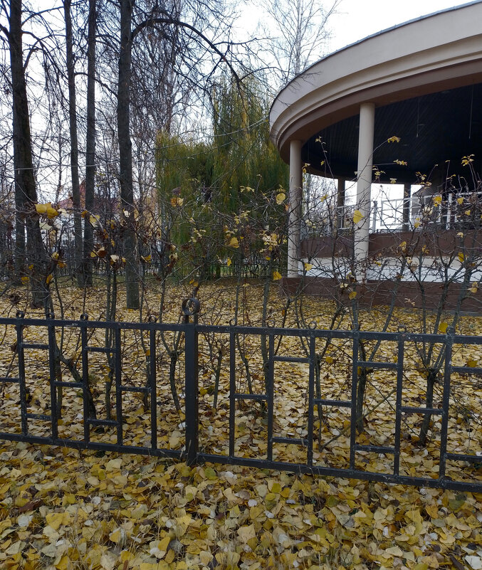 *** - Валентина Береснева