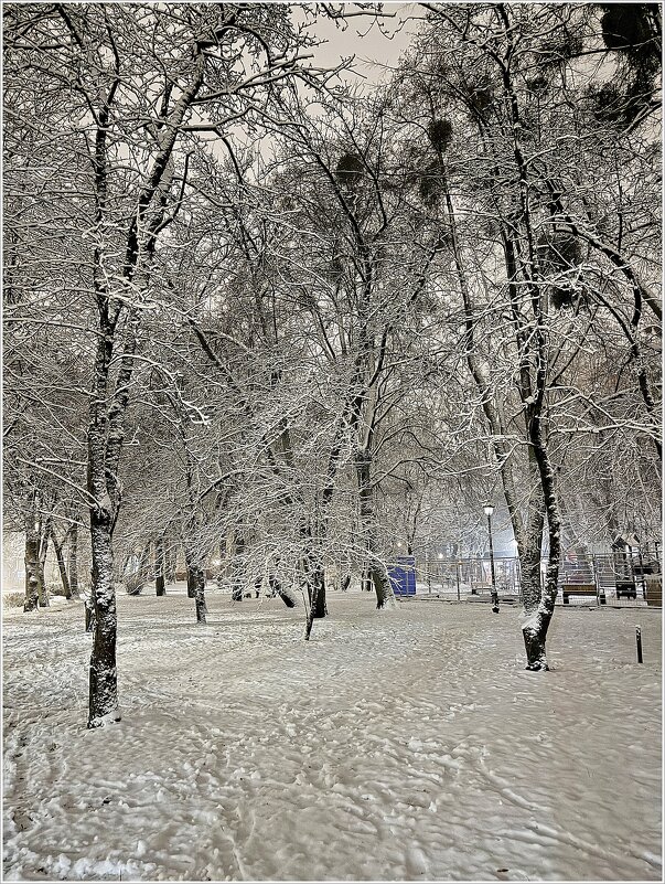 Вечерняя прогулка по первому снегу. - Валерия Комова