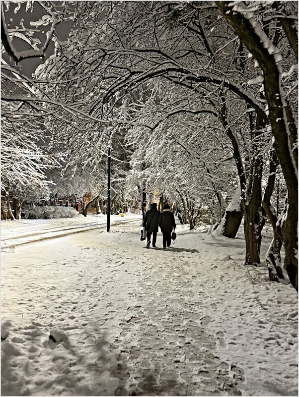 Вечерняя прогулка по первому снегу. - Валерия Комова