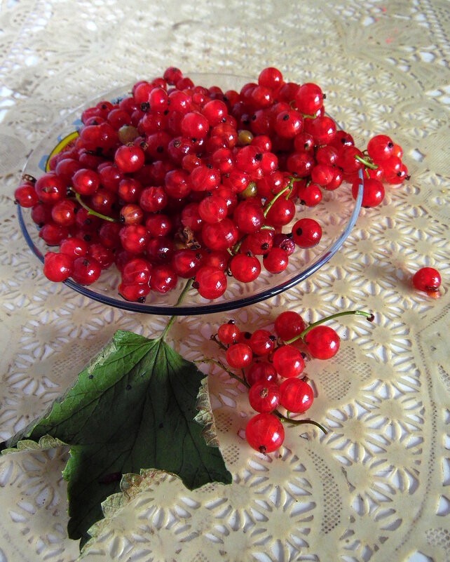 Красная смородина. - nadyasilyuk Вознюк