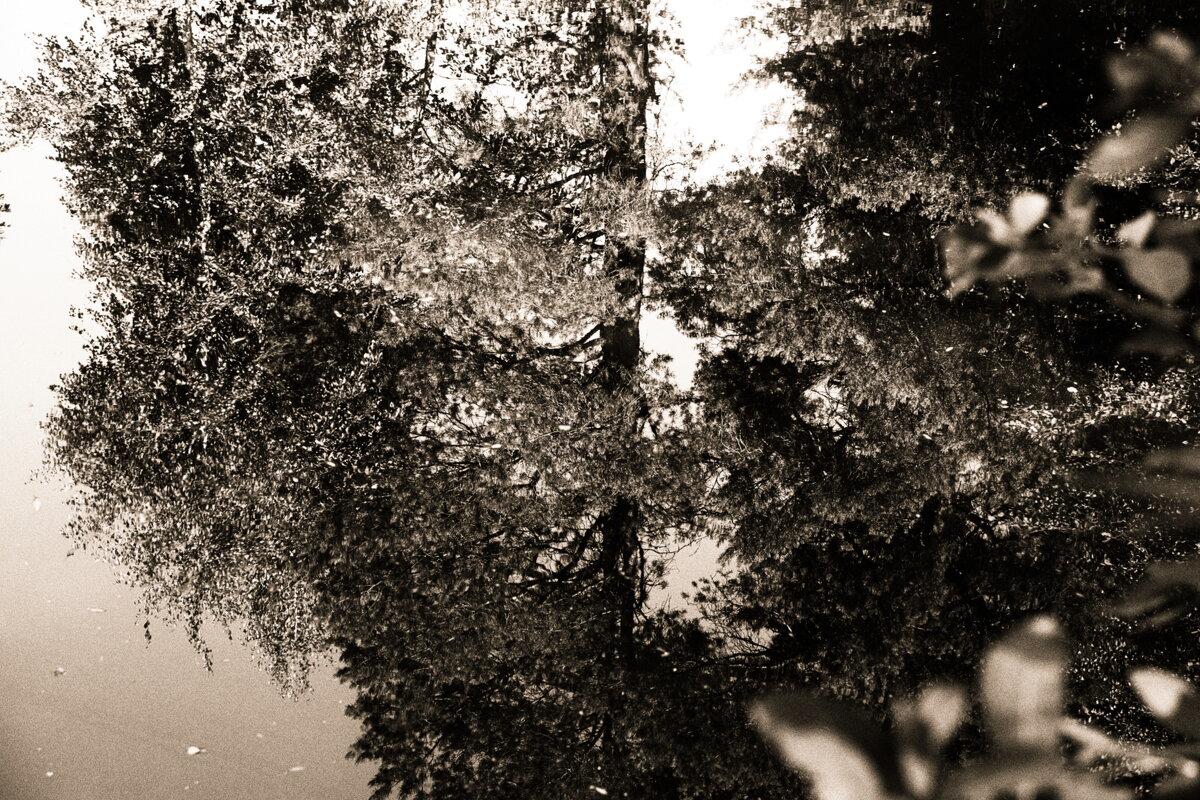 Фотография - Денис Безногов