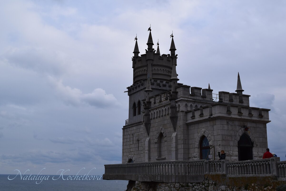 Природа Крыма - Amazing Cosmea