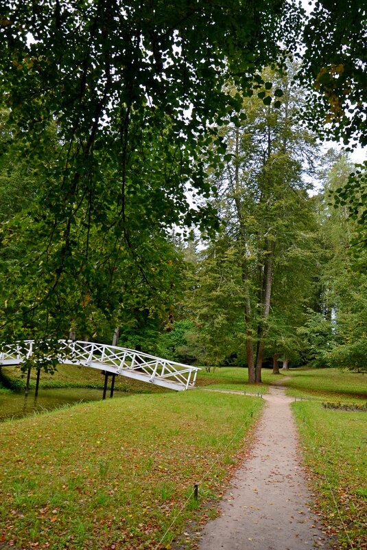 МИХАЙЛОВСКОЕ. - Виктор Осипчук МИХАЙЛОВСКОЕ. - Виктор Осипчук