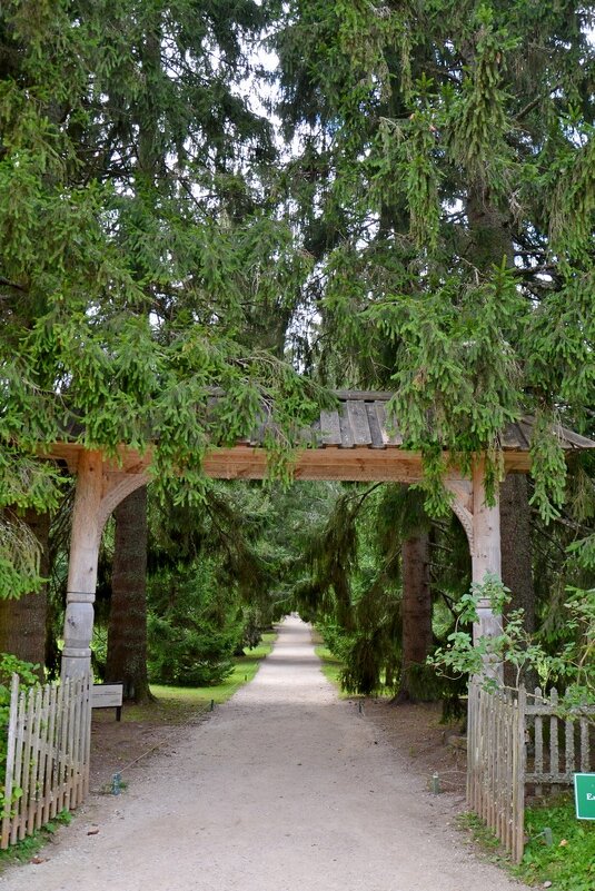 МИХАЙЛОВСКОЕ. - Виктор Осипчук