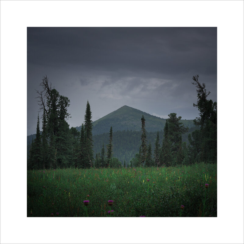 * - Александр Иванов