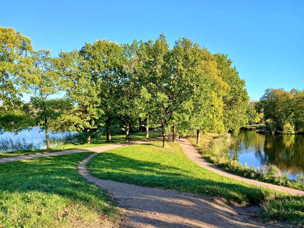 Петергофские пруды. - Лия ☼