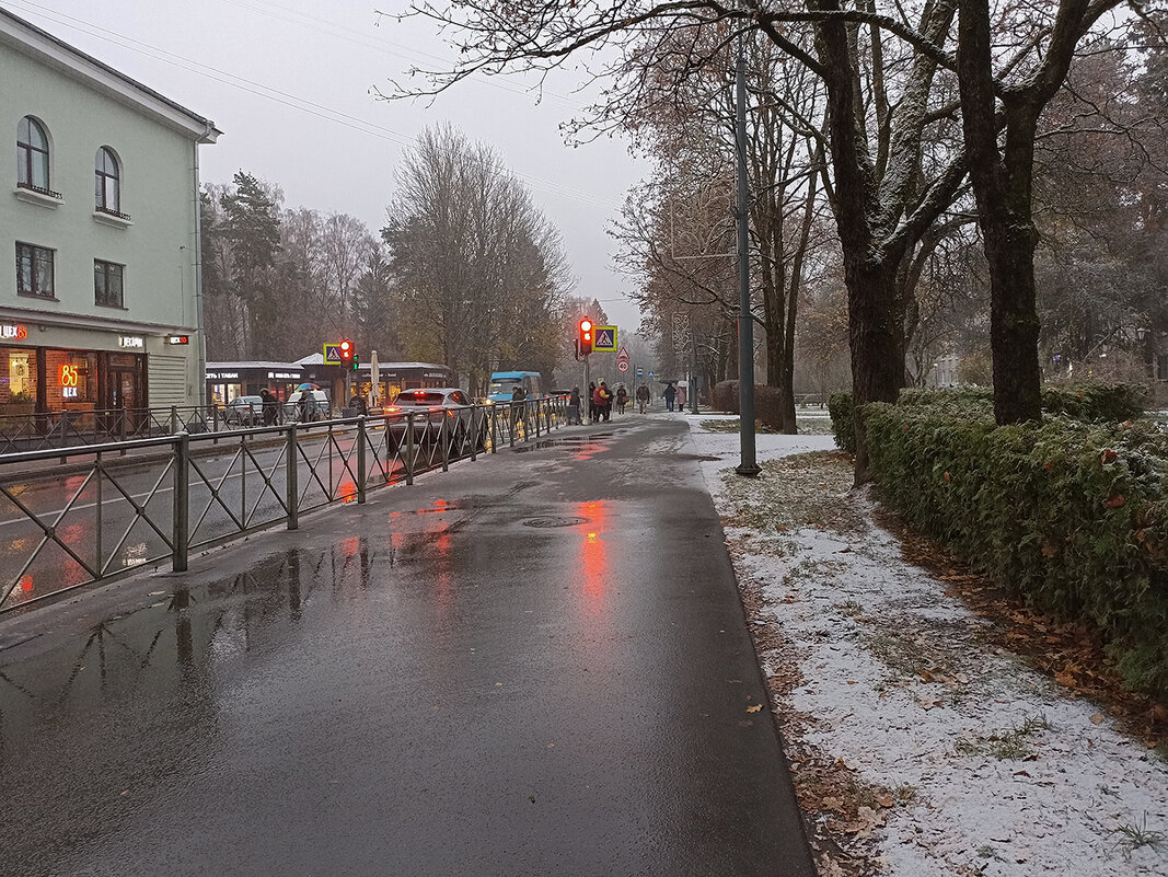Первый снег. Зеленогорск. Ленинградская область. - Лилия * Первый снег. Зеленогорск. Ленинградская область. - Лилия *