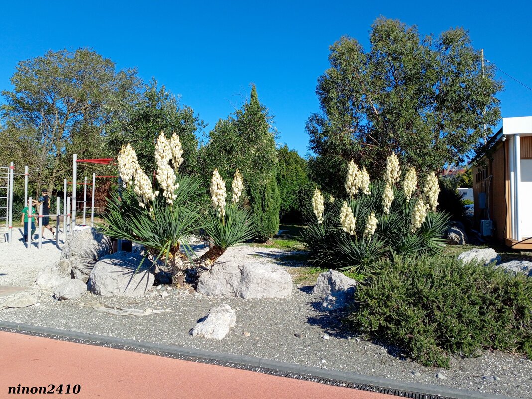 Адлер. Имеретинская (Олимпийская) набережная - Нина Бутко Адлер. Имеретинская (Олимпийская) набережная - Нина Бутко