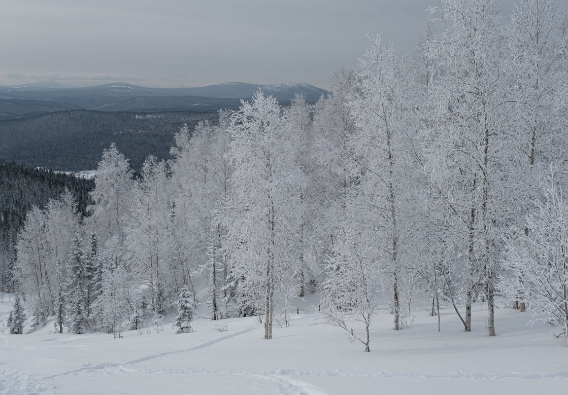 Серебряная сказка - Сергей Герасимов