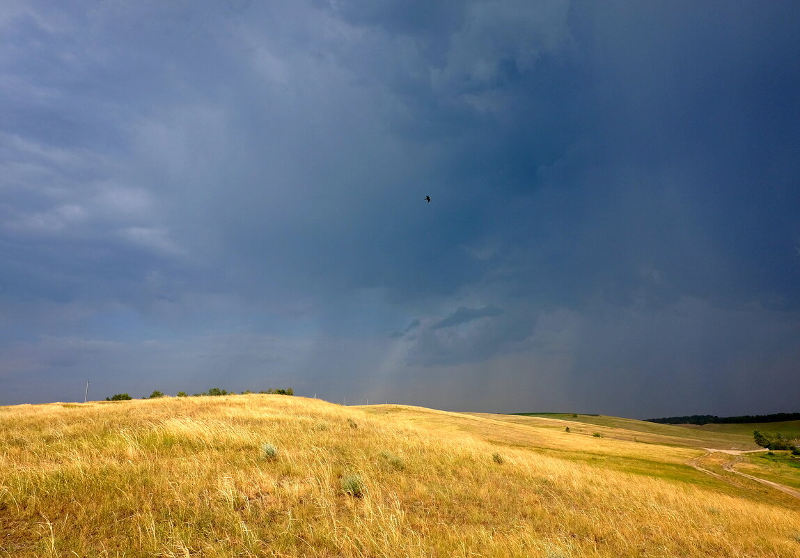 Сгущается... - Вячеслав Алтай