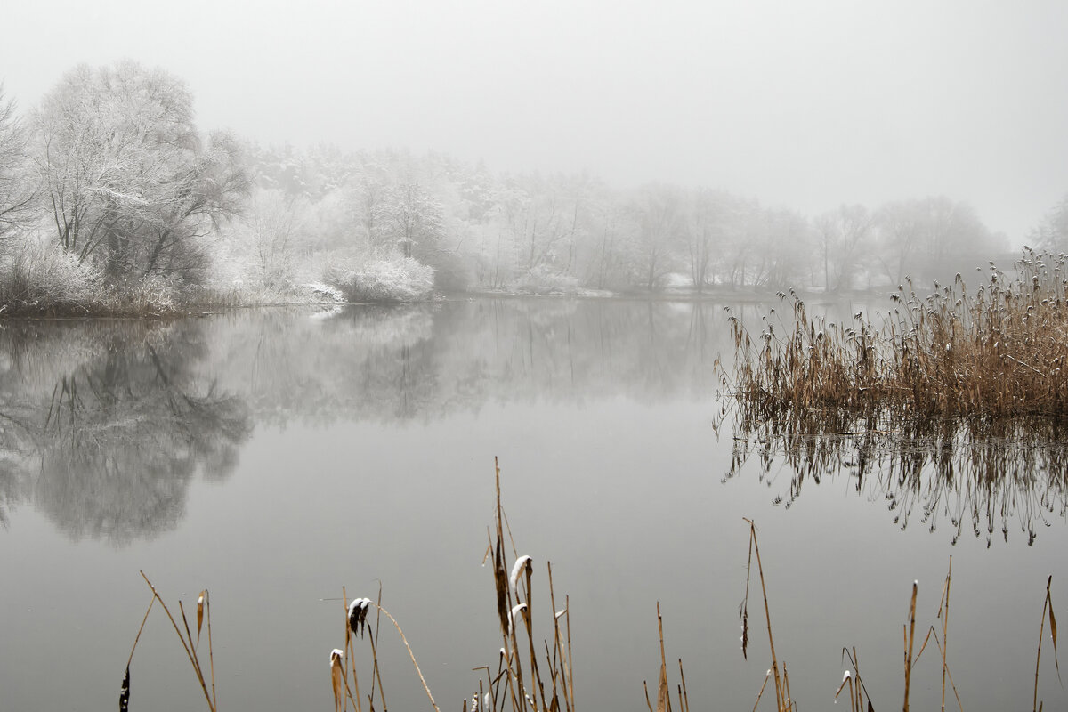 Туман и снег межсезонья - Валерий VRN