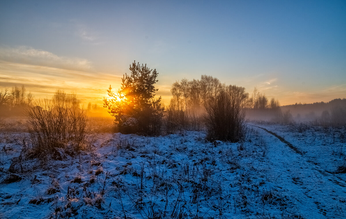 Вечер Ноября 7 - Андрей Дворников