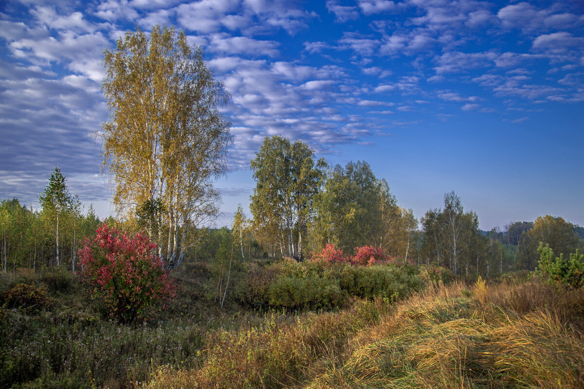 Краски осени - Barguzin_45 Иваныч