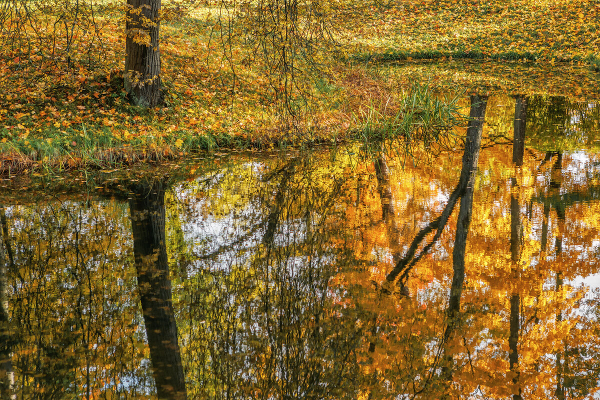 Про Питер - Владимир Колесников