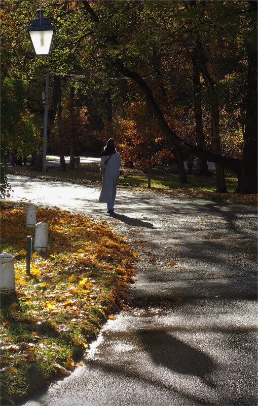 уходящая осень, ушедшая 4 - sv.kaschuk 