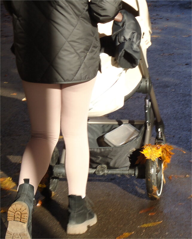 уходящая осень, ушедшая 1 - sv.kaschuk 