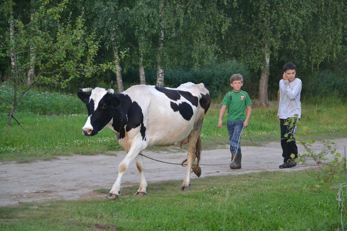 Давно забытая картинка. Или : "Левой! Левой! Левой!" - Надежда Давно забытая картинка. Или : "Левой! Левой! Левой!" - Надежда
