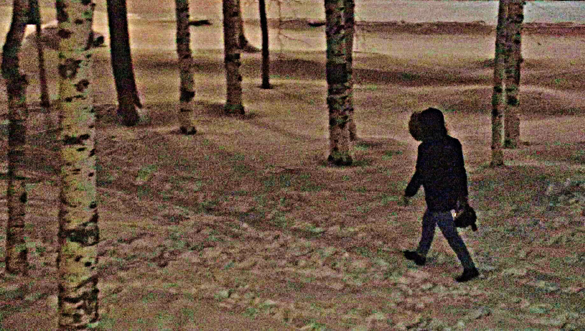 В утренних сумерках на работу! - Владимир 