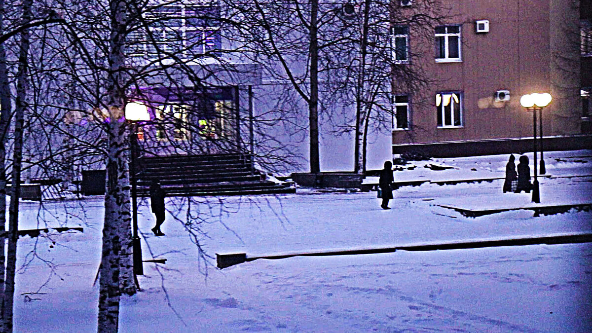 Ноябрь...Уже вовсю зима! - Владимир 