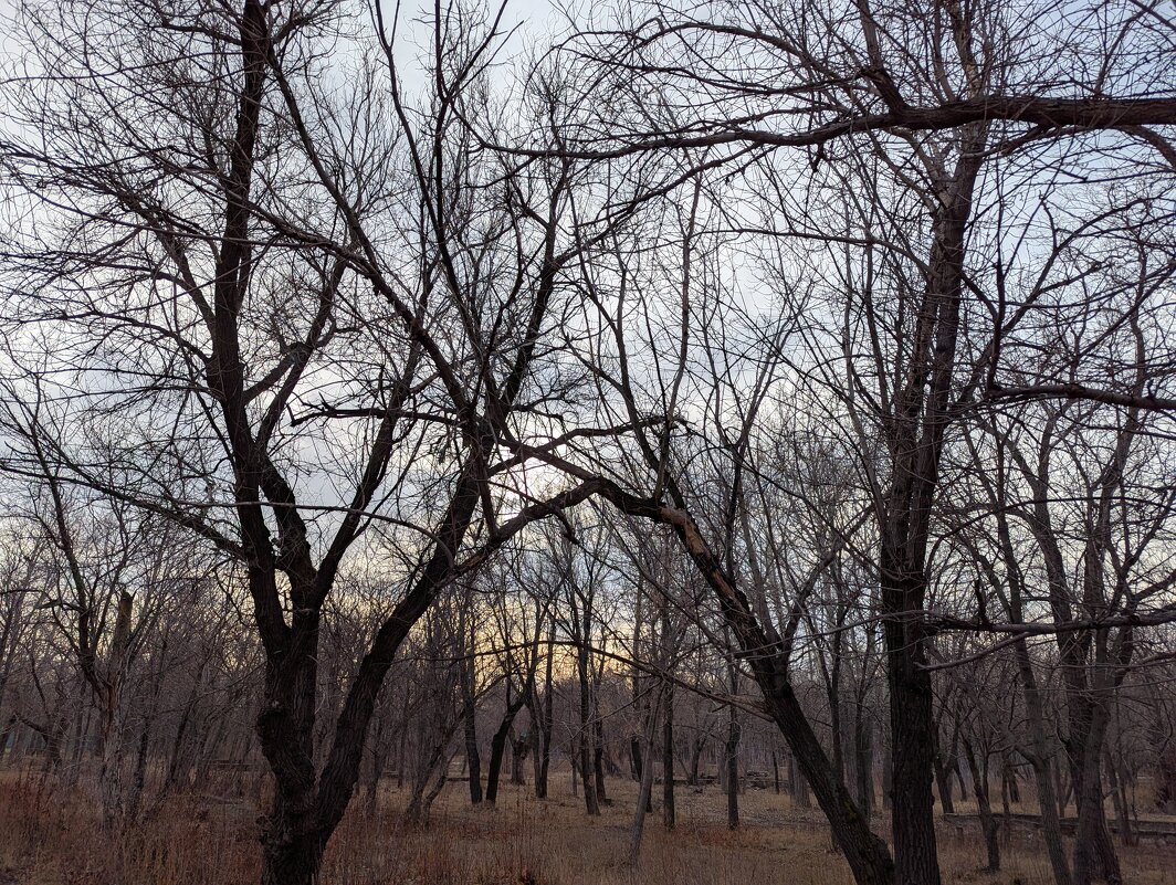 Ноябрь - Андрей Хлопонин