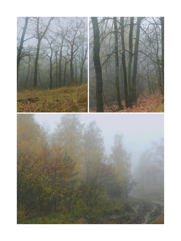 туманное - Лера 