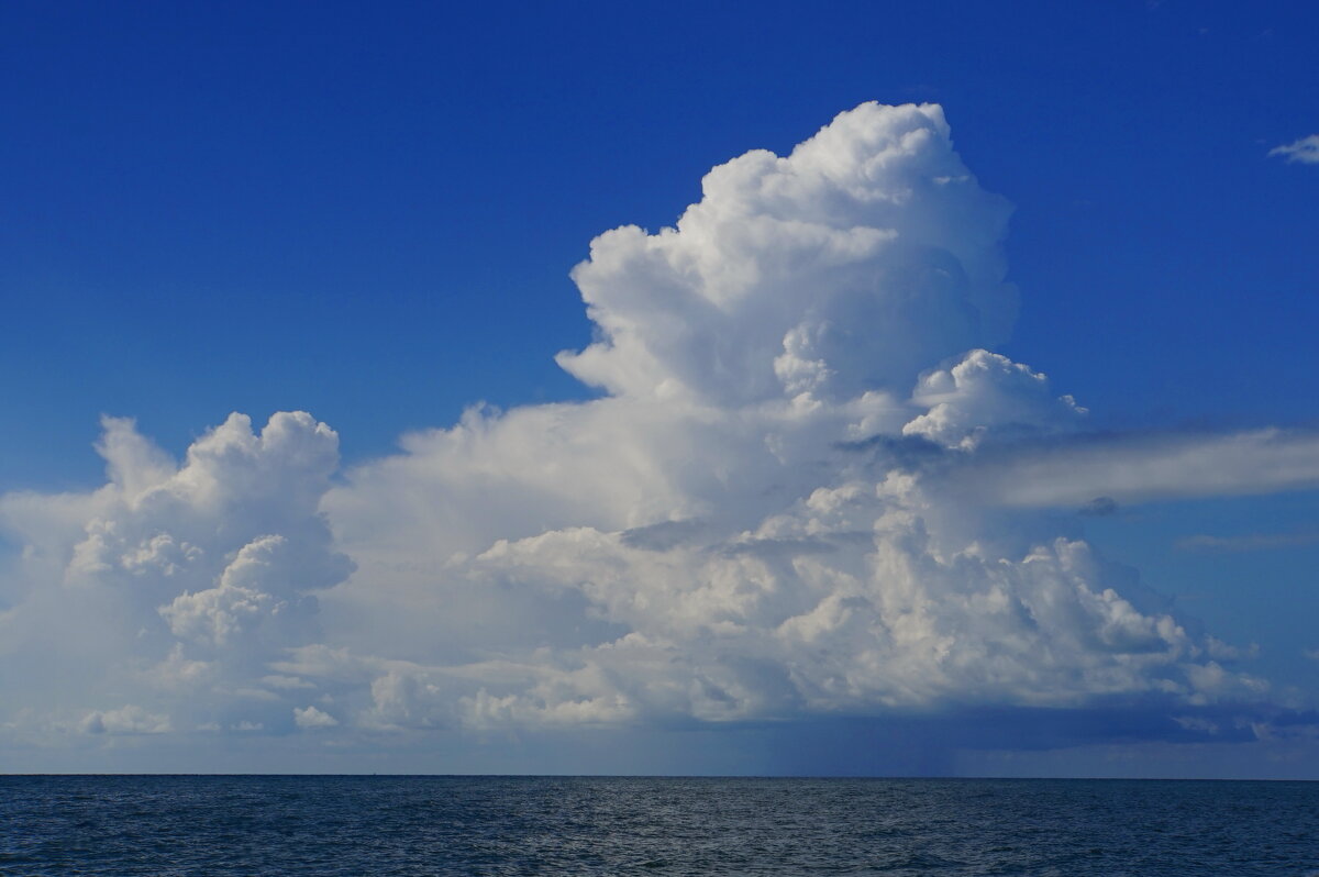 А на небе только и разговоров,что о море... - Марина Леонидовна